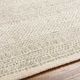 Surya Gavic Medium Gray 4'x6' Area Rug-5
