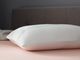 Tempur-Pedic® TEMPUR-Adapt® ProLo + Cooling King Bed Pillow-1