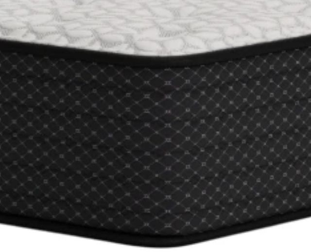 Sierra Sleep® By Ashley® Limited Edition 12" Gel Memory Foam Plush Tight Top Twin XL Mattress in a Box-1