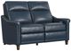 Flexsteel® Elizabeth Sea Leather Power Reclining Loveseat with Power Headrest-0