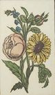 Stylecraft Vintage Floral I Wall Art-1