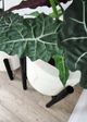 Le Present Alocasia Green 27" Faux Botanical Plant-2