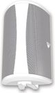 Definitive Technology® AW6500 White All-Weather Outdoor Speaker-0