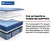 Sealy® Posturepedic® Pro Fuller 14" Wrapped Coil Firm Tight Top King Mattress-4