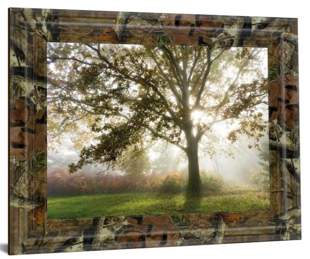 Classy Art Morning Calm by Lee Frost Framed Print Wall Art-0