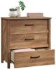 Sauder® Cannery Bridge® Sindoori Mango® Chest-1