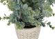 Monarch Specialties Inc. 2-Piece White 13" Tall Artificial Potted Eucalyptus Grass-1