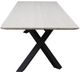 Nest Home Collections Julian Bleached White Rectangular Dining Table with Iron Base-3
