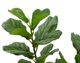 A & B Home Green 4.5" Fiddle-Leaf Fig Tree in Pot-1