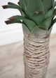 Le Present Yucca Green Faux Botanical-2