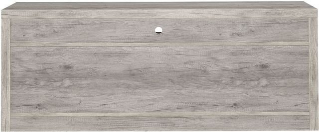 Coaster® Burke Grey Driftwood 2-Drawer TV Console-3