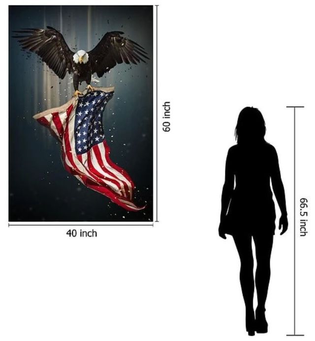 Classy Art Eagle Flag Wall Art-2