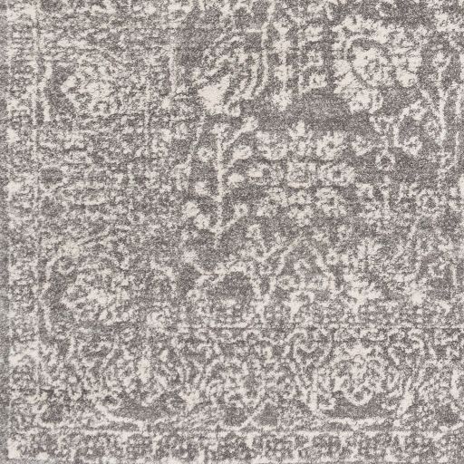 Surya Harput Charcoal/Light Beige 8'x10' Area Rug-4