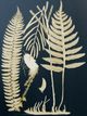 Stylecraft Beige/Green Wall Art-1