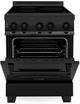 ZLINE 24" Black Stainless Steel Pro Style Induction Range-1