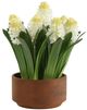 Uttermost® Sincerity Green/Terracotta/White Potted Hyacinth Plant-2