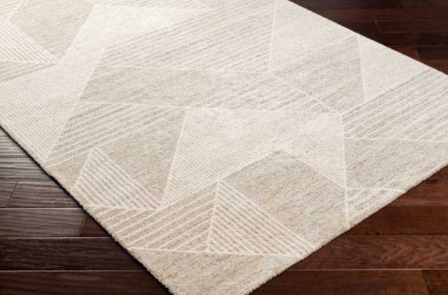 Surya Gavic Beige/White 4'x6' Area Rug-3