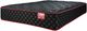 Springwall® True North Chiropractic® Anniversary 2-Sided 13" Wrapped Coil Firm Tight Top Queen Mattress in a Box-0