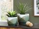 Signature Design by Ashley® Ardenridge 2-Piece Green/White Planters Set-4