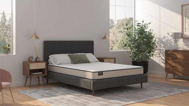 Sherwood® Bedding Essentials® Charming 6.5" Foam Firm Tight Top Queen Mattress-4