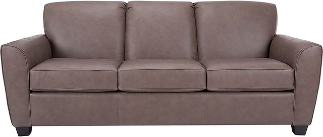 Decor-Rest® Furniture LTD Customizable 3404 Leather Double Sofa Bed-1