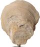Uttermost® Oyster 2-Piece Aged Ivory Shell Sculpture Set-4