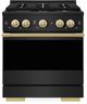 ZLINE Marino 30" Black Stainless Steel Pro Style Dual Fuel Range with 4-Burner DuoPro™ Cooktop and Electric Convection Oven and Polished Gold Accents-0
