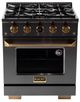 Kucht Professional KX Series 30" Titanium Stainless Steel Pro Style Dual Fuel Range with Kucht Horus Thermostat-0