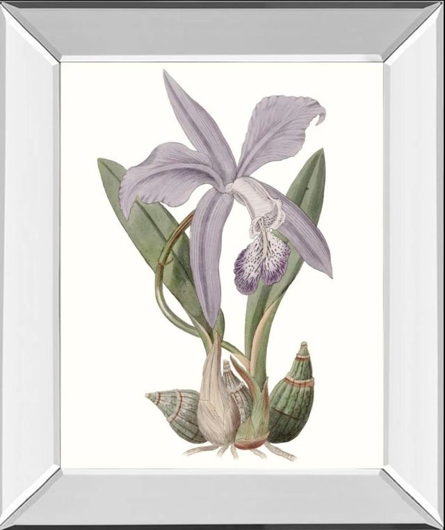 Classy Art Lavender Beauties IV by Edwards Mirror Framed Wall Art-0