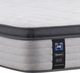 Sealy® Posturepedic® Garner II Innerspring Soft Euro Pillow Top Queen Mattress-1