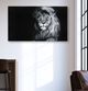 YHD Felis Leo Wall Art-1