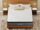 Nealden Plush Queen Mattress-1
