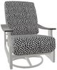 Telescope Casual St. Catherine Agra Classic/Snow Aluminum/Fabric Outdoor MGP Cushion Swivel Rocker with Boardwalk Rustic Arms-0