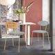 Armen Living Neo 2-Piece Gold/Gray Dining Side Chairs Set-1