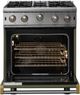 Viking® 5 Series 30" Martini Liquid Propane Pro Style Gas Range-1