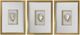 Crestview Collection Golden Oysters 3-Piece Wall Art Set-0