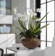 Uttermost® Moth Natural Brown Orchid Planter-3