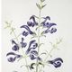 A & B Home 2-Piece Light Brown/White Floral Canvas Print Set-4