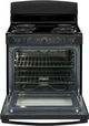 GE® 30" ENERGY STAR® Black Freestanding Electric Range-1
