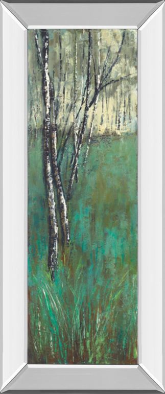 Classy Living Solis Nature Companion I Mirror Framed Wall Art-0