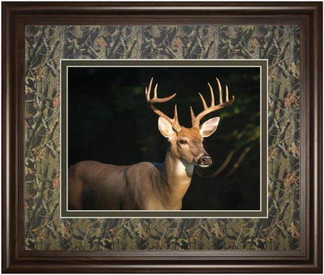 Classy Living Tony Campbell Double Matted White Tail Buck Wall Art-0