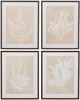 Bassett Mirror Cystoseira Ericoides Beige Framed Print-2