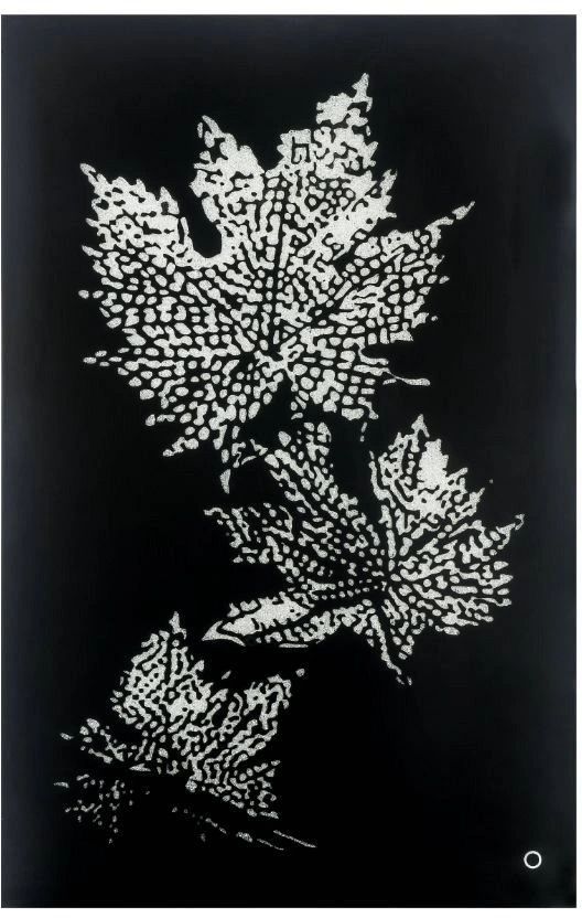 ACME Furniture Hadrias Black/Smoky Glass Wall Art with LED