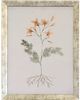 Stylecraft Gray/Light Gray/Light Red Wall Art-0