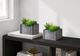 Monarch Specialties Inc. 2-Piece 8" Succulent Artificial Plant Set with 7" Grey Wooden Boxes-0