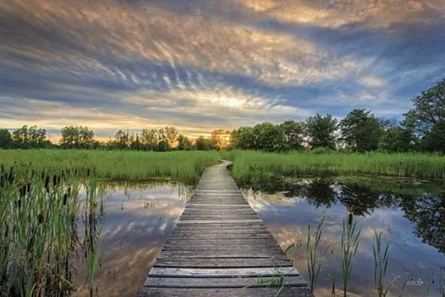 Classy Art Boardwalk by Martin Podt Wall Art-0