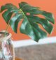 A & B Home Green Split Leaf Stem-4