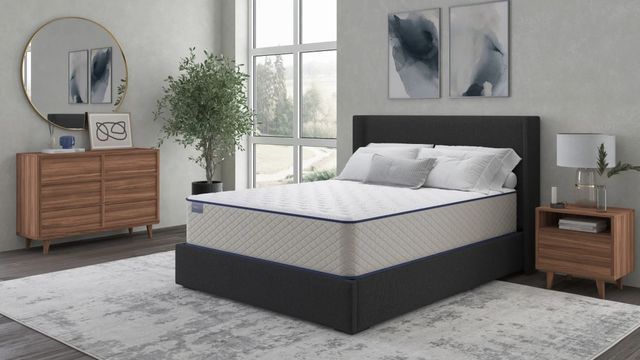 Sherwood® Bedding Vintage, Essentials® Pleasant 14" Wrapped Coil Medium Tight Top Twin XL Mattress-4