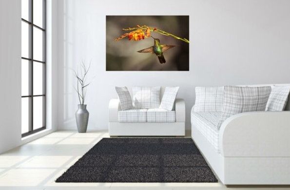 Classy Art Hummingbird Tempered Glass with Foil Wall Art-3