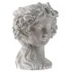 A & B Home Gray 8" Bust Planter-2